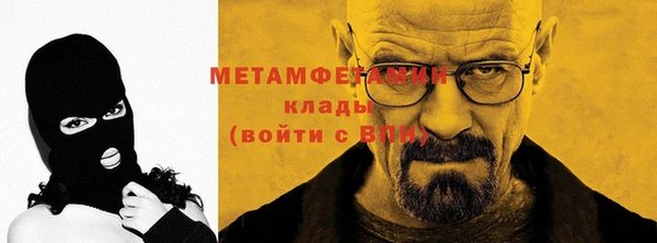прущие грибы Коряжма